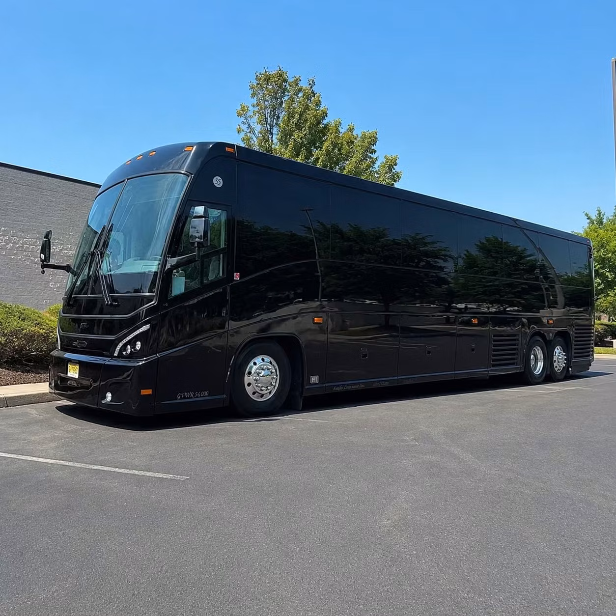56 passenger charter bus